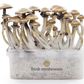Microdosing Magic Mushroom Starter Pack