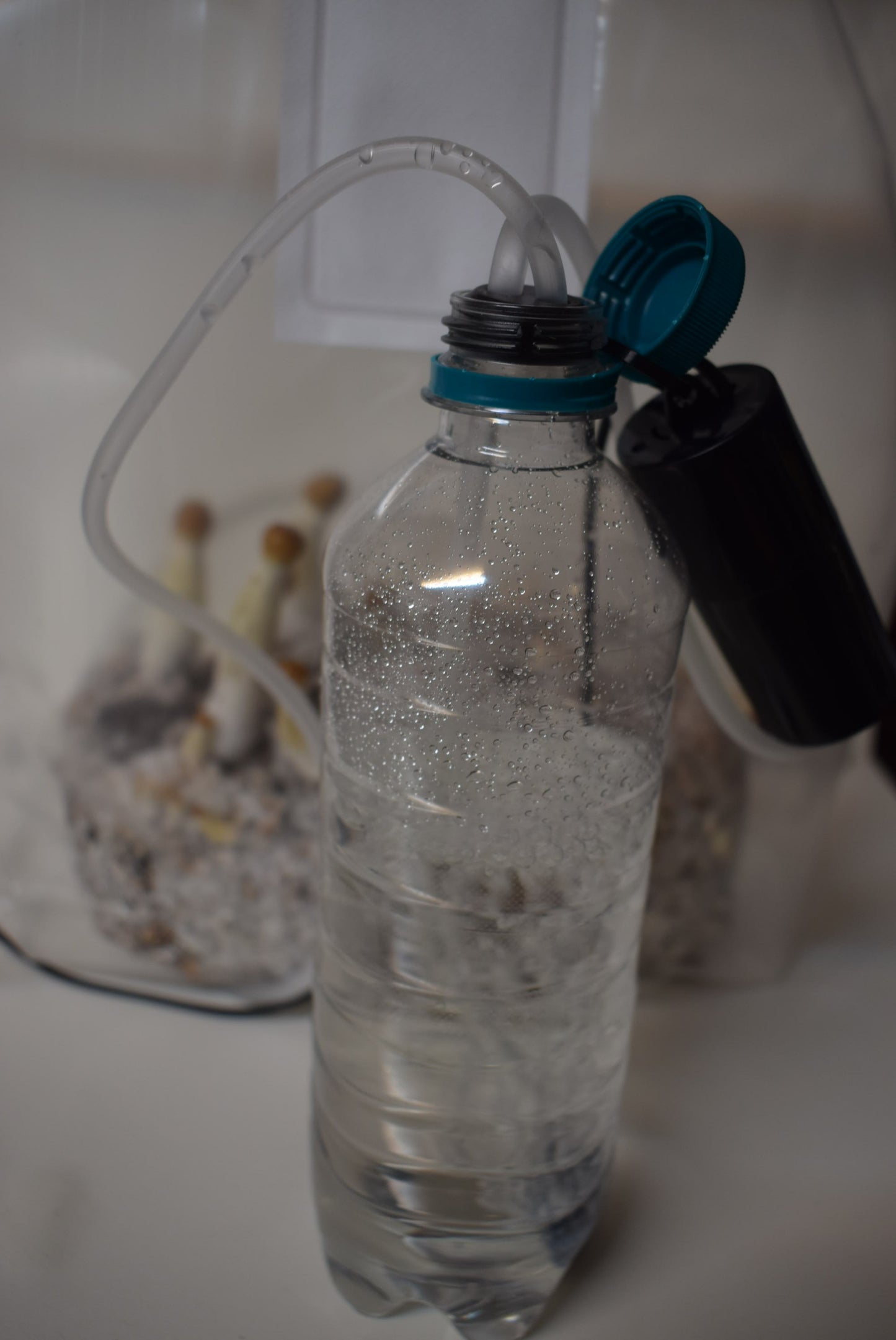 Utrustning för odling av magiska svampar