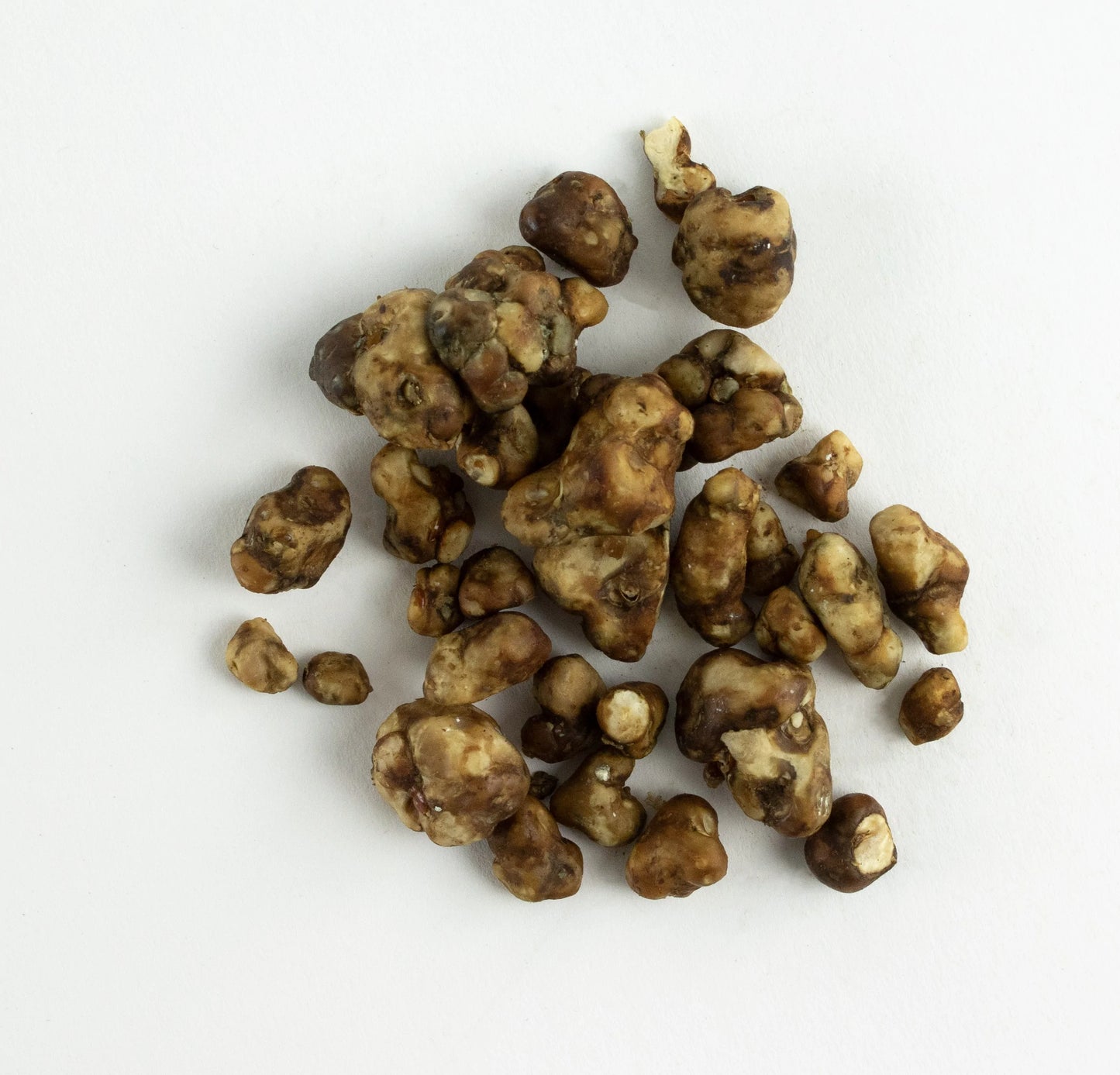 Bulk Magic Sclerotia (250g)