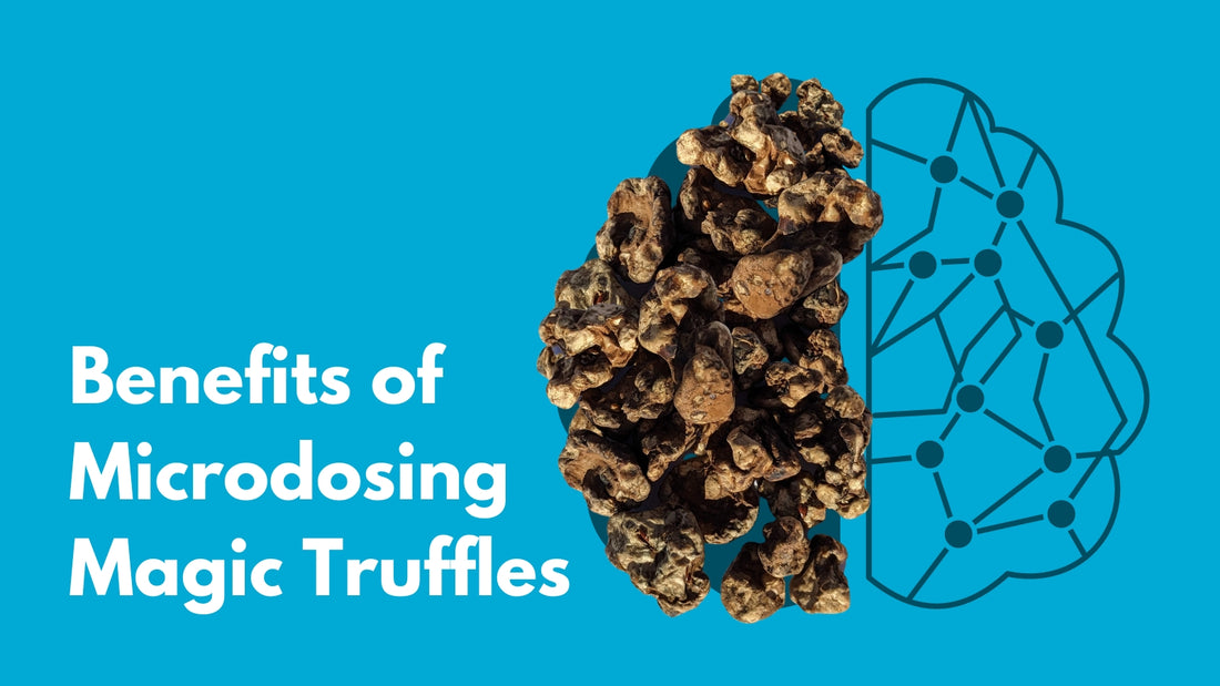 Benefits of Microdosing Magic Truffles