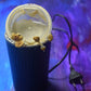 Elektrische grinder voor droge paddenstoelen, droge truffels en droge kruiden
