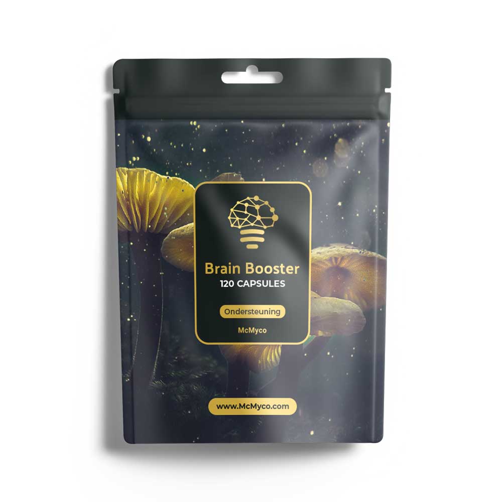 Brain Booster Kapseln