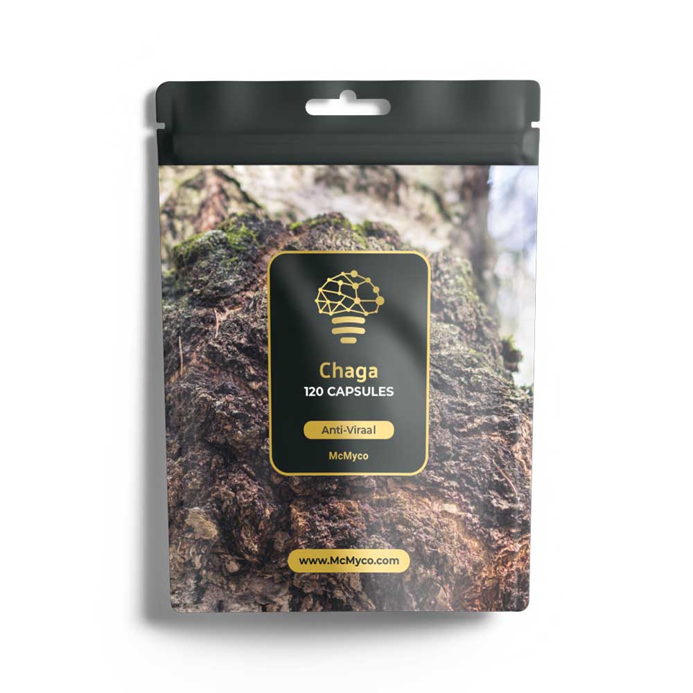 Chaga Extrakt