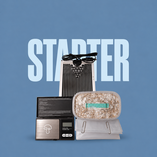 Microdosing Magic Mushroom Starter Set