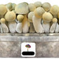 Magic Mushroom Power Strains