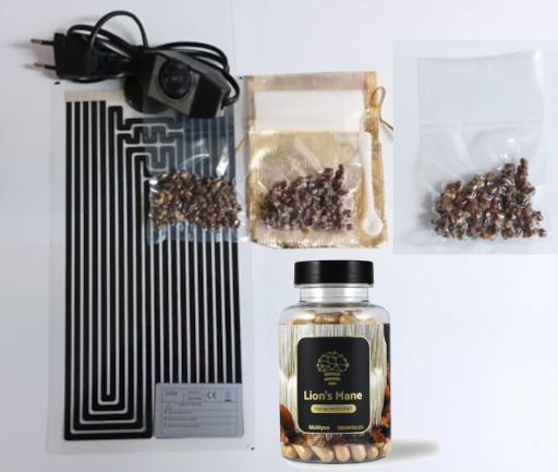 Brain Power: 2 Months Microdosing + Lion's Mane