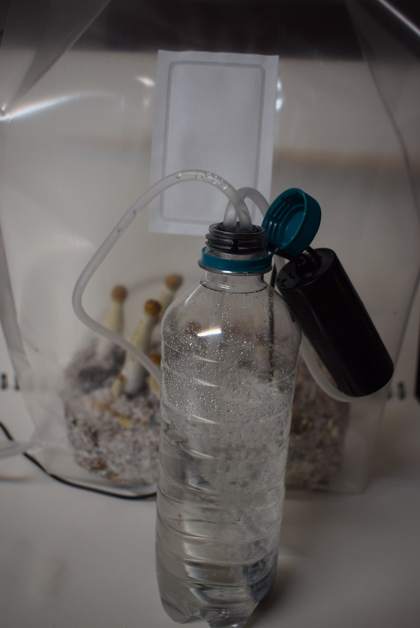 Utrustning för odling av magiska svampar