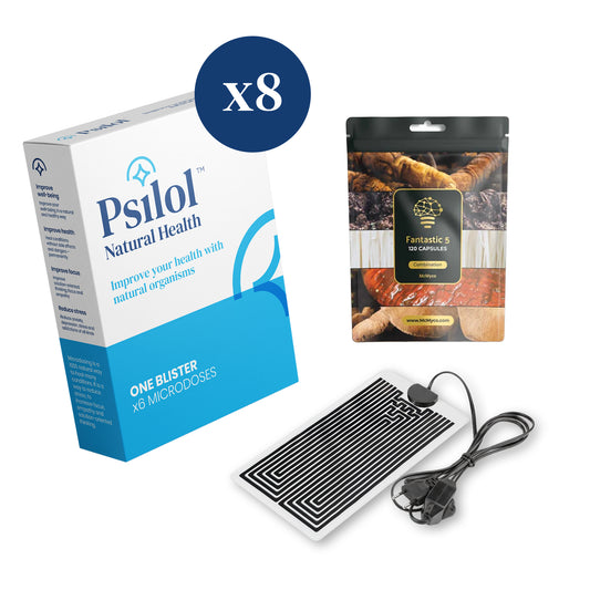 Body Boost: 2 Monate Microdosing + Fantastische 5 Heilpilze