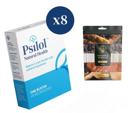Body Boost: 2 Monate Microdosing + Fantastische 5 Heilpilze