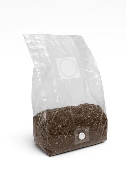 Scatola del substrato (sterile)