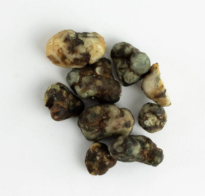 Bulk Magic Sclerotia (250g)